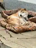 麟祥院(東京都)