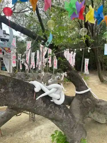 白美龍神社の{uncategorized: "未分類", other: "その他", undefined: "問題あり", building: "その他建物", grave: "お墓", sacred_gate: "鳥居", guardian: "狛犬", statue: "像", buddha: "仏像", history: "歴史", nature: "自然", garden: "庭園", animal: "動物", pagoda: "塔", temizu: "手水舎", mountain_gate: "山門・神門", sanctuary: "本殿・本堂", subordinate: "末社・摂社", art: "芸術", scenery: "景色", jizo: "地蔵", ema: "絵馬", goshuin: "御朱印", omikuji: "おみくじ", items: "授与品その他", amulet: "お守り", goshuincho: "御朱印帳", eats: "食事", festival: "お祭り", votive_dance: "神楽", shichigosan: "七五三参", wedding: "結婚式", experience: "体験その他", initially: "初詣", around: "周辺", anti_infection: "感染症対策"}