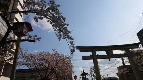 尾張大國霊神社（国府宮）の鳥居