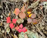 蚊里田八幡宮(長野県)