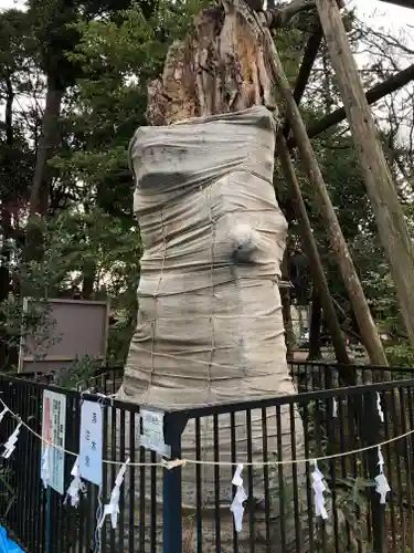 布多天神社の自然