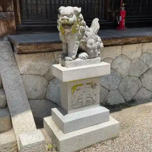 猿投神社の狛犬