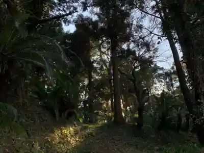 莫越山神社奥宮の周辺