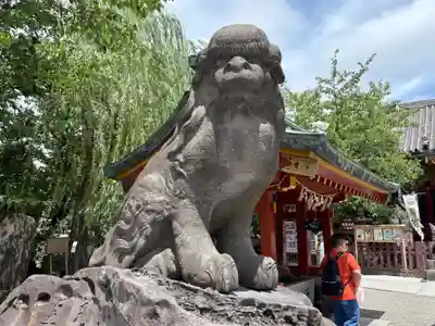 浅草神社の狛犬
