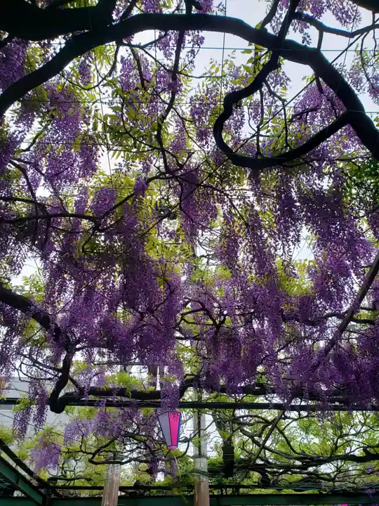 國領神社(東京都)