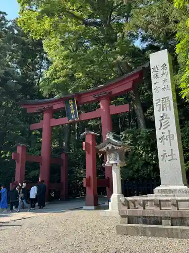 彌彦神社(新潟県)