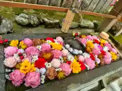 小倉八幡神社(徳島県)