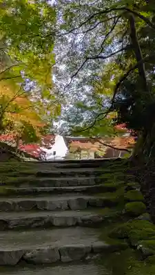 神護寺(京都府)
