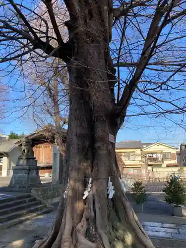 滝野川八幡神社(東京都)