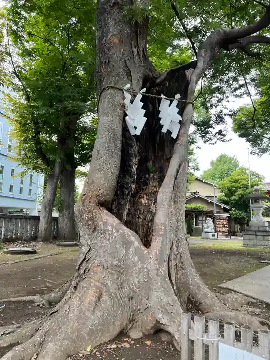 戸部杉山神社(神奈川県)