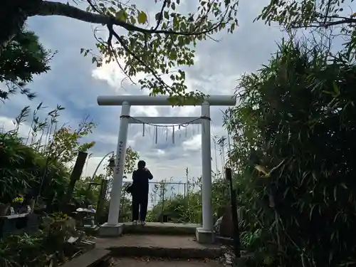 洲崎神社(千葉県)