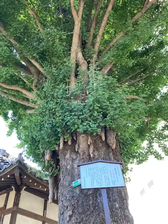 稼穡稲荷社の自然