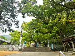 大麻比古神社(徳島県)