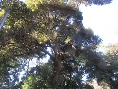 別所白山神社(神奈川県)