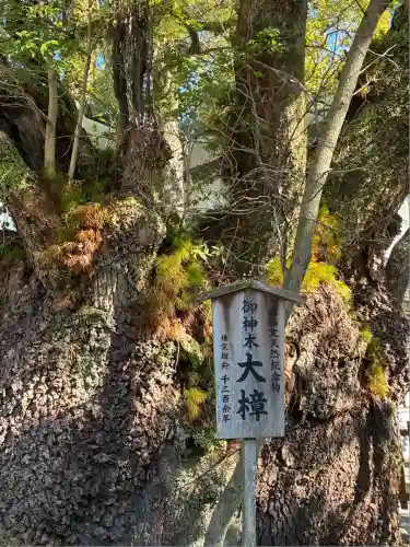 富知六所浅間神社(静岡県)