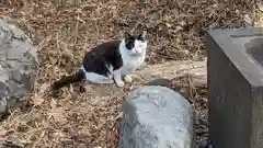 明長寺の動物