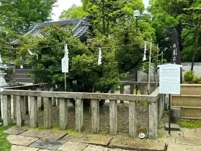 太閤山常泉寺(愛知県)