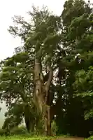 五所神社(徳島県)