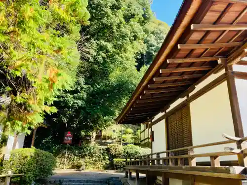 宇治上神社のその他建物