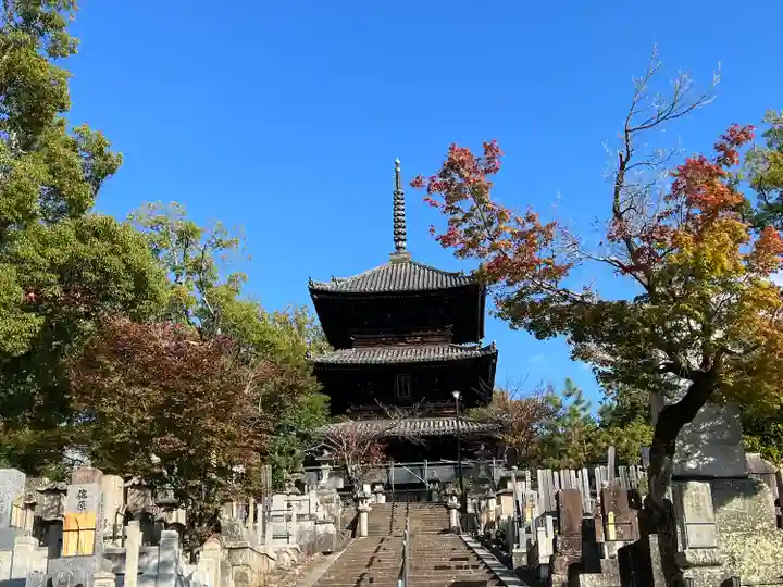 くろ谷 金戒光明寺(京都府)