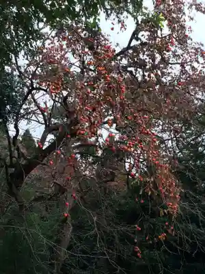 清水寺(福岡県)