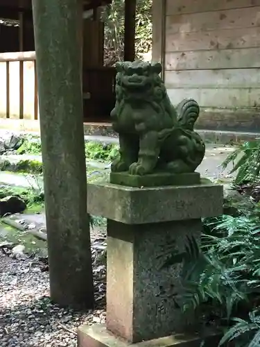 天の岩戸神社の狛犬