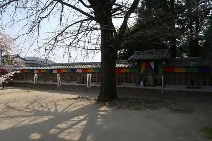 浄泉寺(愛知県)