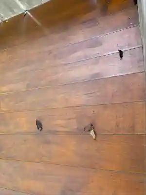 辨海神社(広島県)