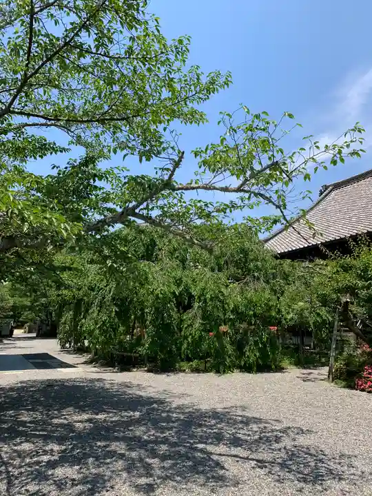 毘沙門堂門跡の自然