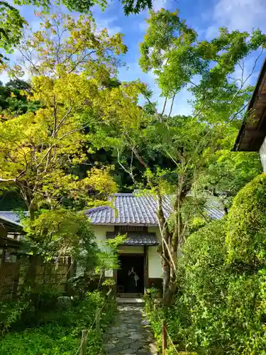 蓮華寺（洛北蓮華寺）の自然