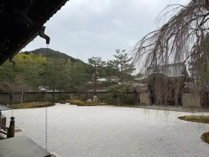 高台寺(高台寿聖禅寺・高臺寺)の{uncategorized: "未分類", other: "その他", undefined: "問題あり", building: "その他建物", grave: "お墓", sacred_gate: "鳥居", guardian: "狛犬", statue: "像", buddha: "仏像", history: "歴史", nature: "自然", garden: "庭園", animal: "動物", pagoda: "塔", temizu: "手水舎", mountain_gate: "山門・神門", sanctuary: "本殿・本堂", subordinate: "末社・摂社", art: "芸術", scenery: "景色", jizo: "地蔵", ema: "絵馬", goshuin: "御朱印", omikuji: "おみくじ", items: "授与品その他", amulet: "お守り", goshuincho: "御朱印帳", eats: "食事", festival: "お祭り", votive_dance: "神楽", shichigosan: "七五三参", wedding: "結婚式", experience: "体験その他", initially: "初詣", around: "周辺", anti_infection: "感染症対策"}