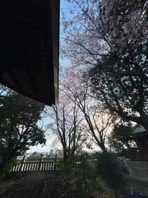 日吉神社の{uncategorized: "未分類", other: "その他", undefined: "問題あり", building: "その他建物", grave: "お墓", sacred_gate: "鳥居", guardian: "狛犬", statue: "像", buddha: "仏像", history: "歴史", nature: "自然", garden: "庭園", animal: "動物", pagoda: "塔", temizu: "手水舎", mountain_gate: "山門・神門", sanctuary: "本殿・本堂", subordinate: "末社・摂社", art: "芸術", scenery: "景色", jizo: "地蔵", ema: "絵馬", goshuin: "御朱印", omikuji: "おみくじ", items: "授与品その他", amulet: "お守り", goshuincho: "御朱印帳", eats: "食事", festival: "お祭り", votive_dance: "神楽", shichigosan: "七五三参", wedding: "結婚式", experience: "体験その他", initially: "初詣", around: "周辺", anti_infection: "感染症対策"}