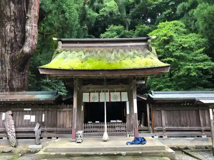 若狭姫神社(若狭彦神社下社)の本殿・本堂