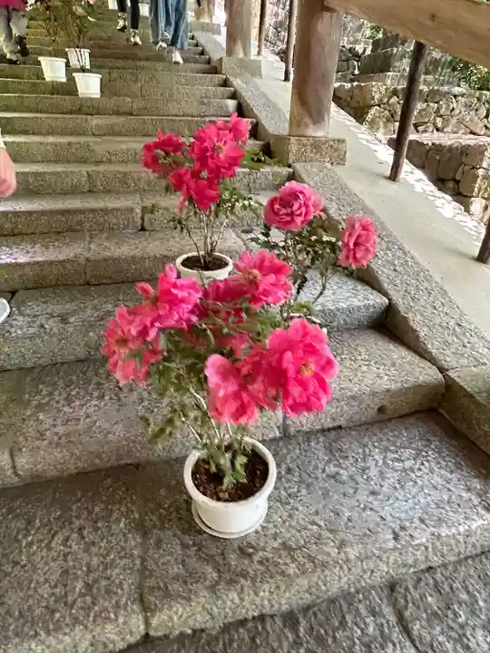 長谷寺(奈良県)