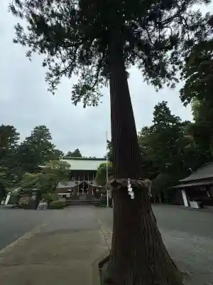 比々多神社(神奈川県)