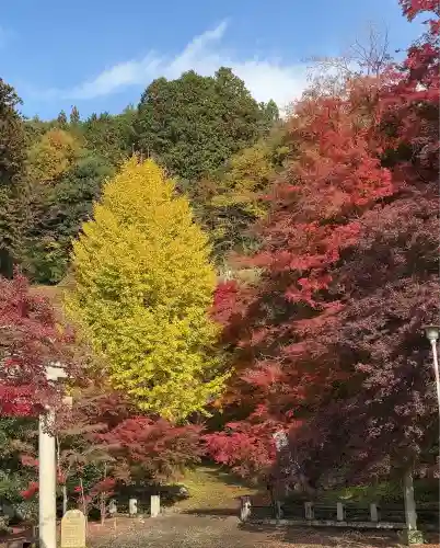 意冨布良神社(滋賀県)