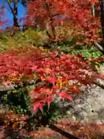 普門院(文知摺観音)の{uncategorized: "未分類", other: "その他", undefined: "問題あり", building: "その他建物", grave: "お墓", sacred_gate: "鳥居", guardian: "狛犬", statue: "像", buddha: "仏像", history: "歴史", nature: "自然", garden: "庭園", animal: "動物", pagoda: "塔", temizu: "手水舎", mountain_gate: "山門・神門", sanctuary: "本殿・本堂", subordinate: "末社・摂社", art: "芸術", scenery: "景色", jizo: "地蔵", ema: "絵馬", goshuin: "御朱印", omikuji: "おみくじ", items: "授与品その他", amulet: "お守り", goshuincho: "御朱印帳", eats: "食事", festival: "お祭り", votive_dance: "神楽", shichigosan: "七五三参", wedding: "結婚式", experience: "体験その他", initially: "初詣", around: "周辺", anti_infection: "感染症対策"}