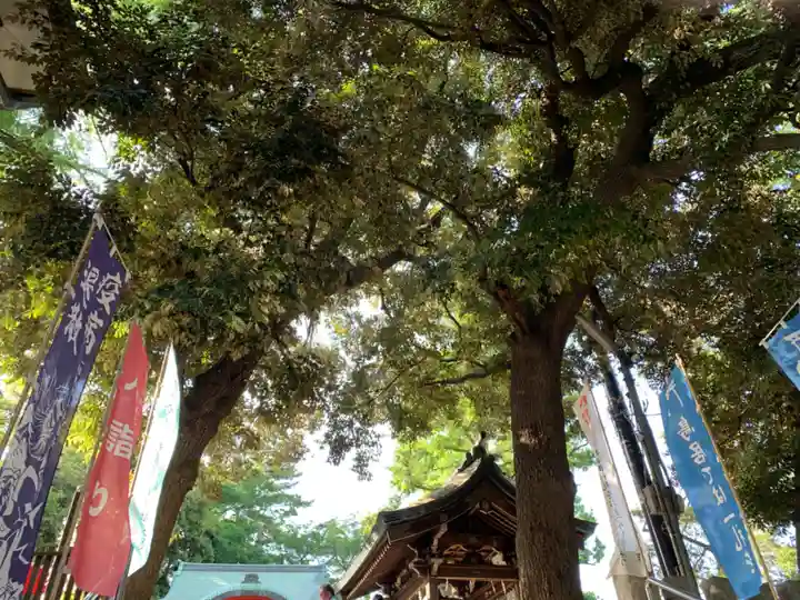 自由が丘熊野神社(東京都)