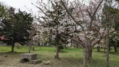 江部乙神社(北海道)