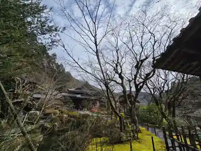 寂光院(京都府)