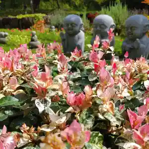 寿量山 速成寺(奈良県)(2022年08月18日(木) 22時56分19秒投稿)