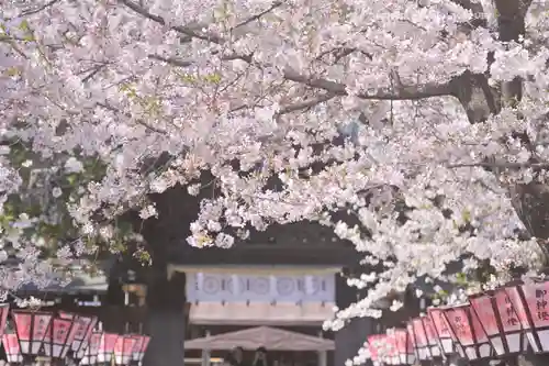 三嶋大社(静岡県)