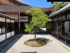 建仁寺（建仁禅寺）(京都府)