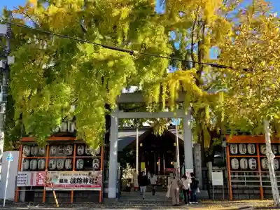 波除神社（波除稲荷神社）の鳥居