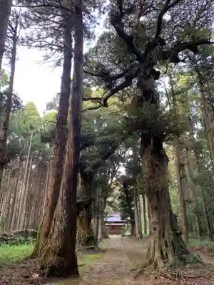 六所神社(千葉県)