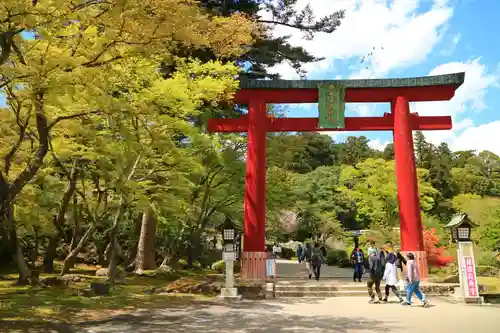 志波彦神社・鹽竈神社の鳥居