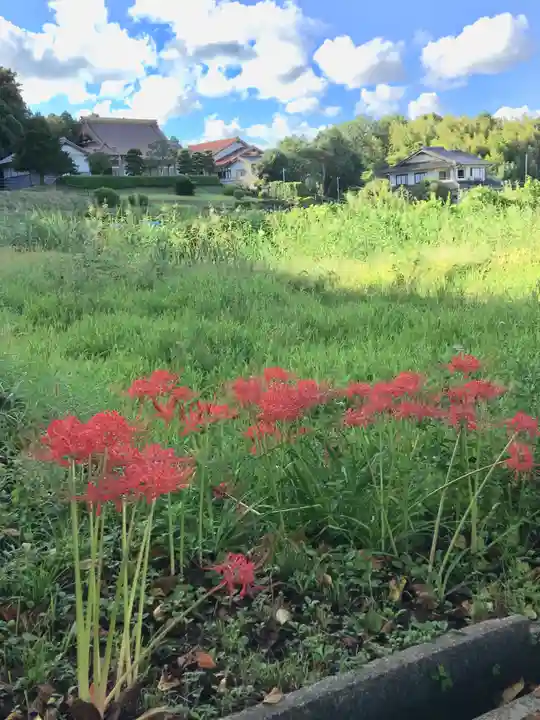 神魂神社の自然