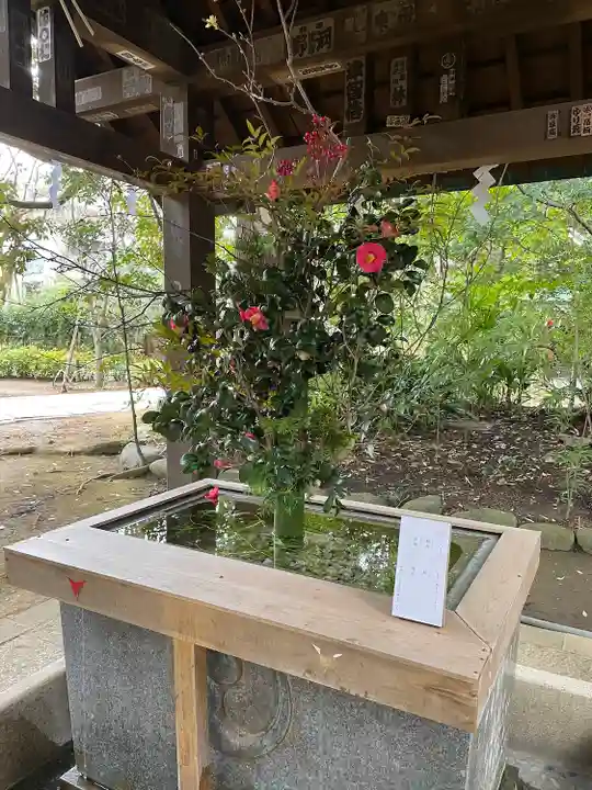 赤坂氷川神社の手水舎