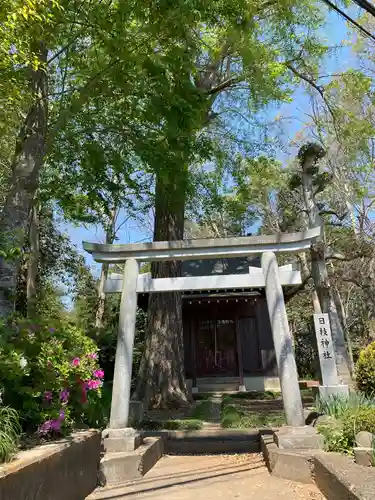 日枝神社の鳥居