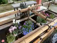 津島神社(愛知県)